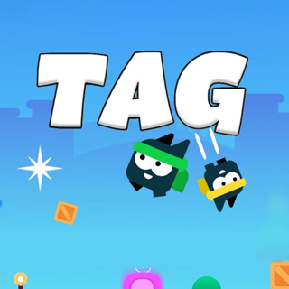 Tag unblocked at gamesmf.com